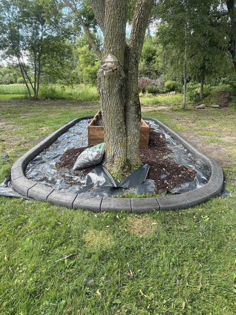 concrete curbing in spanis htile stamp