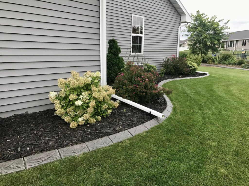 Garden bed along a gray siding house with cream hydrangeas, green shrubs, and curved concrete edging next to a manicured lawn.